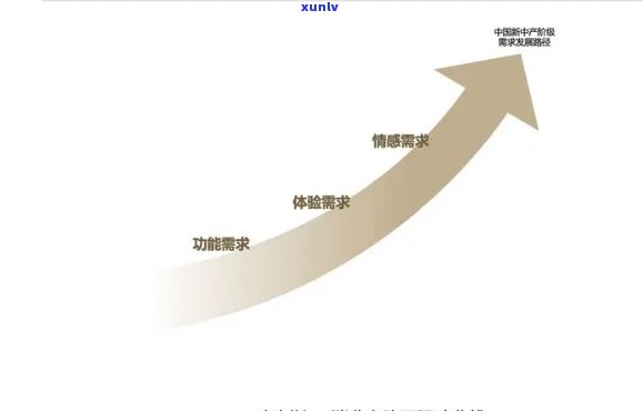 探究天下价格：全面了解商品定价策略与市场动态