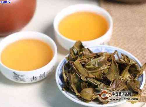 粗适合泡普洱茶吗