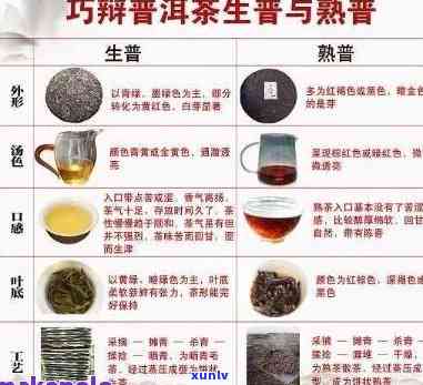 普洱茶：关于细茶叶的种类和特点，全面解答您的疑问