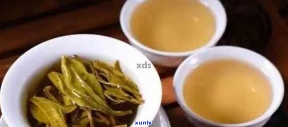 普洱茶叶子的大小选择：影响品质还是冲泡体验？深入解析对比与优劣