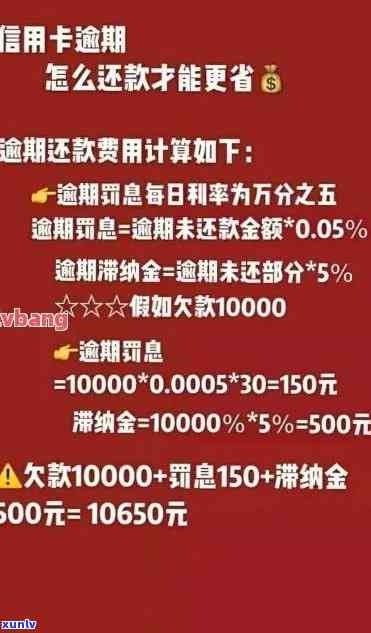 信用卡等额本息还款逾期的全面解决方案与应对策略