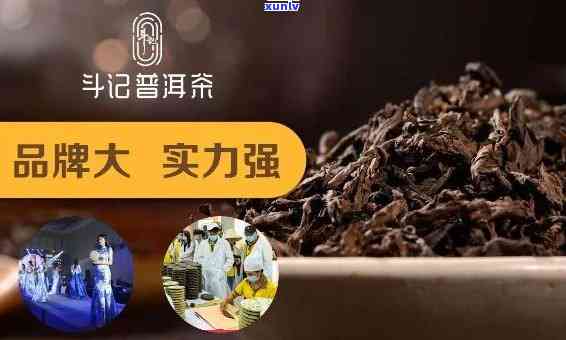 新 深度品鉴：斗记普洱茶的品质、口感与收藏价值解析