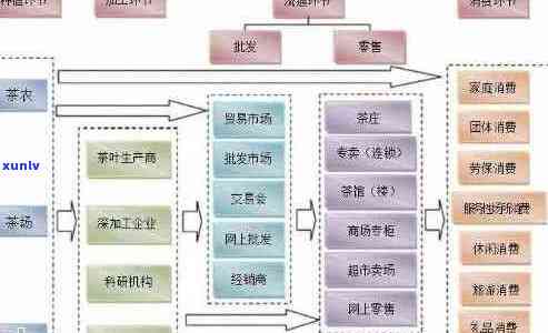 普洱茶产业链结构解析：从种植到市场的全过程分析