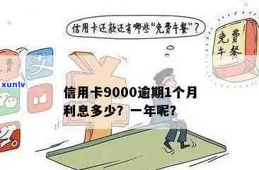 逾期半年未还款9000元信用卡：我该如何解决这个问题？