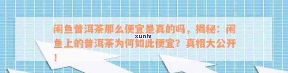 如何在闲鱼平台上合规发布普洱茶？需要注意哪些规定？