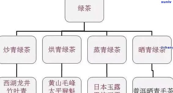 探究大叶种普洱茶的根源：了解其家族谱系及其历渊源