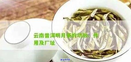 茗月普洱茶有何功效