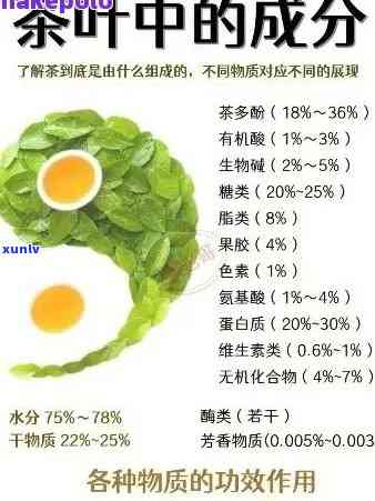 普洱茶成分的保健品是什么：揭示普洱茶的健益处及功能。