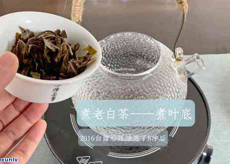 普洱茶：泡喝还是煮喝？哪种 *** 更适合你？