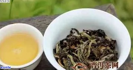 月光白普洱茶的价格及品鉴指南：你真的了解吗？