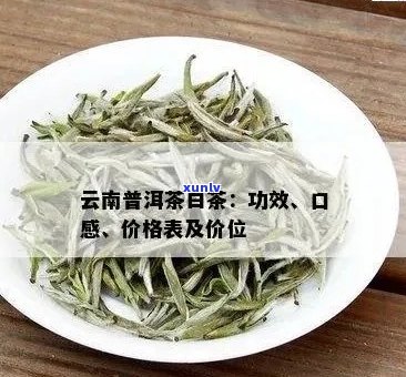 云南普洱月光白茶叶价格大全及市场行情分析，让你轻松了解每斤多少钱