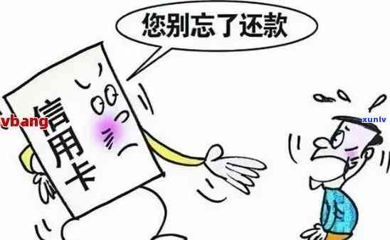 信用卡逾期：是否只是生活的无奈选择？