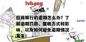 招商逾期还款解决方案：常见疑问解答、期申请与处理流程一文详解