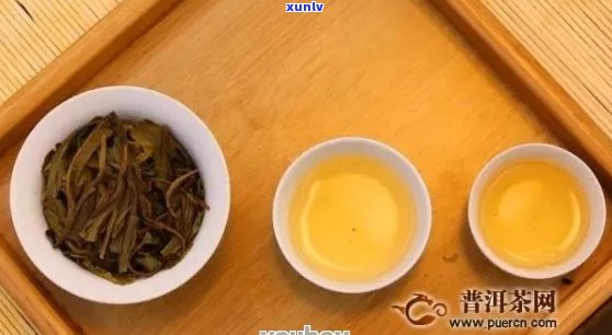 普洱茶的青味和黄味：它们的区别与含义是什么？