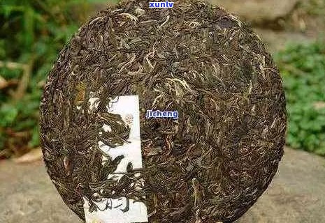 普洱茶的青味和黄味：它们的区别与含义是什么？