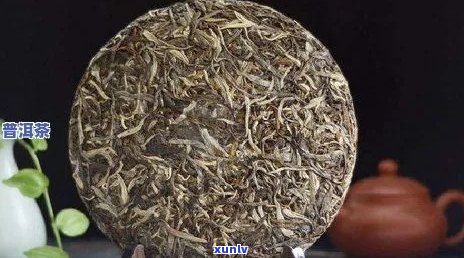 普洱茶饼饮后如何妥善保存以保持其品质？