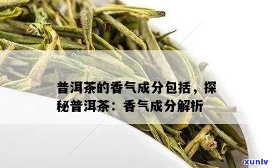 普洱茶香气成分包括茶叶吗？为什么普洱茶的香气成分包括茶叶。