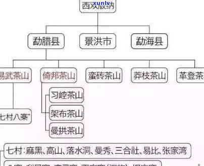 勐海县哪里买茶叶最全、更便宜、最多？