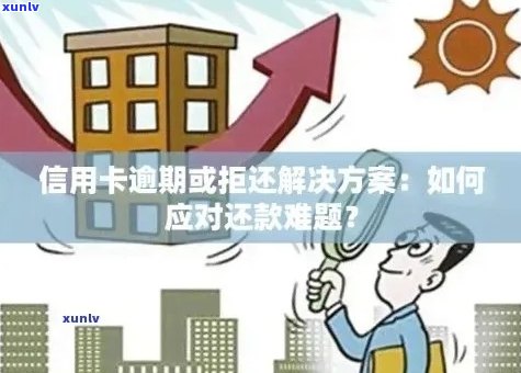 信用卡逾期还款困境：解决方案和建议，助您摆脱信用危机！