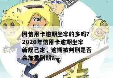 有没有信用卡逾期坐牢的老哥？2020年新规已定，要注意了！