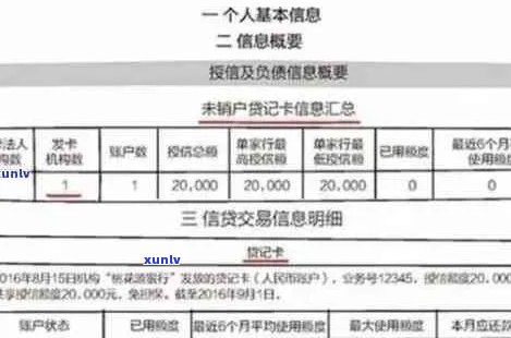 信用卡逾期明细查询全攻略：如何找到逾期记录并了解相关处理 *** 