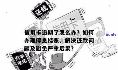 信用卡逾期不能停息吗怎么办？请提供相关信息以便帮助您解决问题。