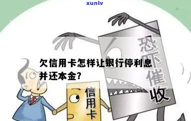 欠信用卡可以停息还本金吗如何处理？