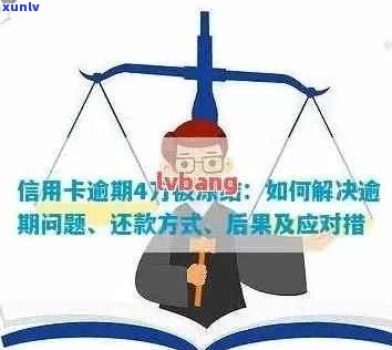 信用卡逾期处理的意见和建议：XXXX年应对策略与优化建议