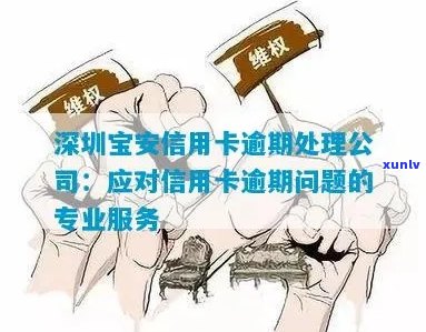 深圳信用卡逾期：法务专家提供全面解决方案与指导，助您解决逾期问题