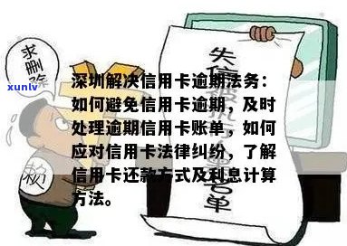 深圳信用卡逾期：法务专家提供全面解决方案与指导，助您解决逾期问题