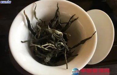 普洱茶泡过之后的样子：茶叶展示与品鉴