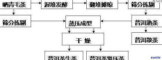 全面解析普洱茶生可证：获取流程、要求及意义