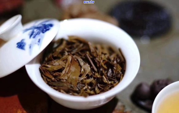 喝什么普洱茶饿得快