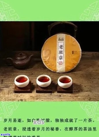 九年陈普洱茶：时光沉淀的味道与故事