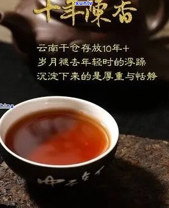 九年陈普洱茶：时光沉淀的味道与故事