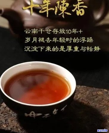 陈秘境韵普洱茶：品质、历与价格分析