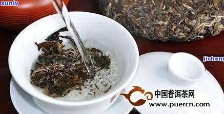 普洱茶根的全面解析：来源、功效、用途及其在普洱茶 *** 过程中的作用