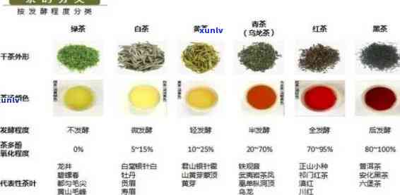 裕泰小种红茶：品质、口感与价格对比分析