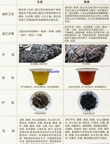 全面了解菊花普洱熟茶：品种、 *** 工艺、功效及泡法的全方位指南