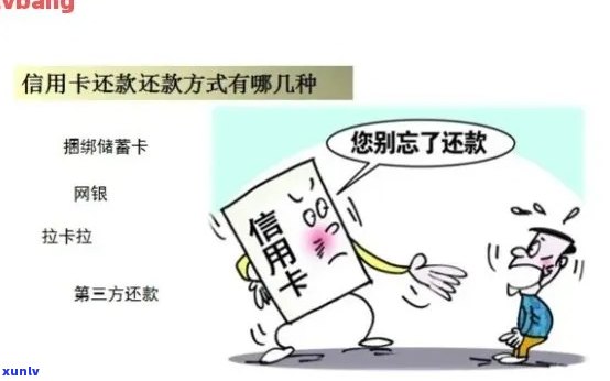 如何判断信用卡还款是否：实用技巧与常见误区解析