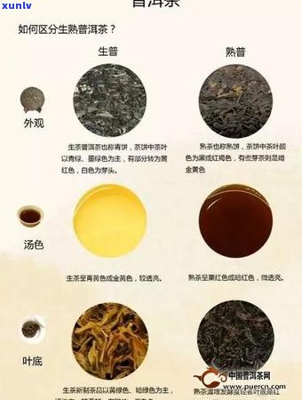 普洱茶分几片？如何正确泡普洱茶？