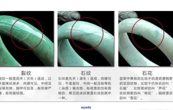 如何从零开始组装翡翠石龙？详细指南和步骤详解