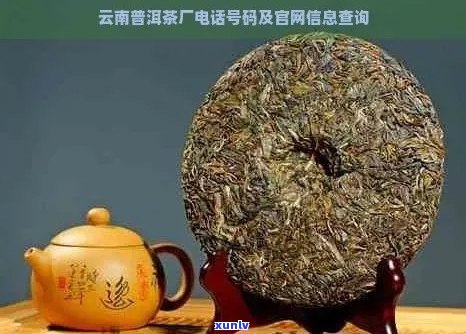 那家公司的普洱茶好