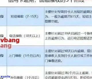 广发信用卡逾期记录查询，专业解决方案助您轻松应对