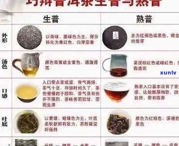 全面解析普洱茶档次：从新手到资深茶友的选择指南