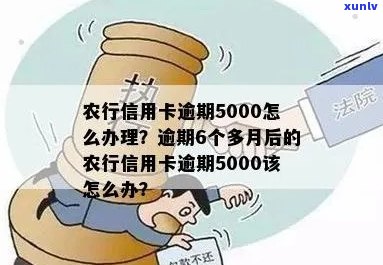 农行信用卡逾期五年会怎么样：处理方式、新法规及5000逾期6个多月的影响