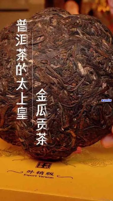 抖音卖普洱茶哪个好