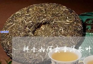 抖音卖普洱茶哪个好