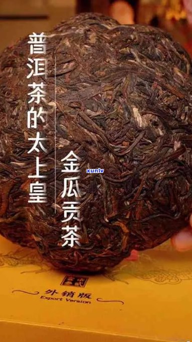 抖音卖普洱茶哪个好