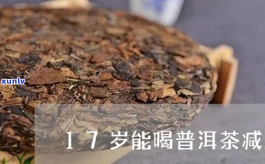 17岁能喝普洱茶吗